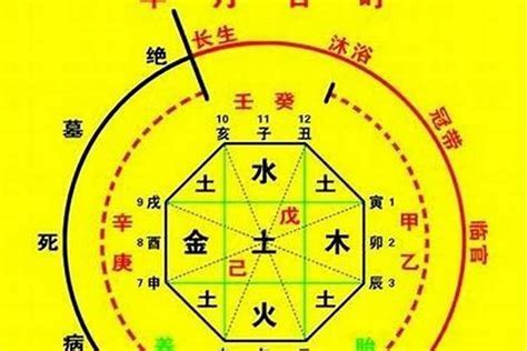 忌木|八字忌木类是什么意思 (八字五行忌木者是什么意思)